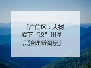 广信区：大树底下“议”出基层治理新图景
