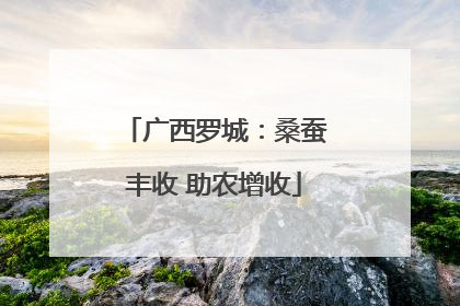 广西罗城：桑蚕丰收 助农增收