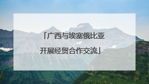 广西与埃塞俄比亚开展经贸合作交流