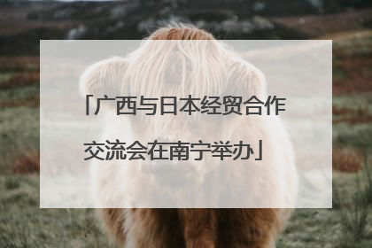 广西与日本经贸合作交流会在南宁举办