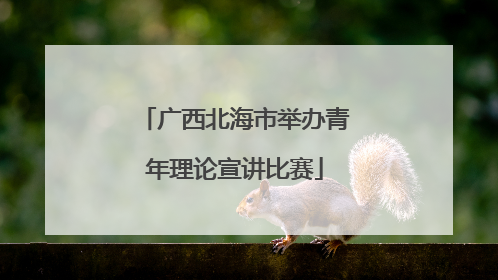 广西北海市举办青年理论宣讲比赛