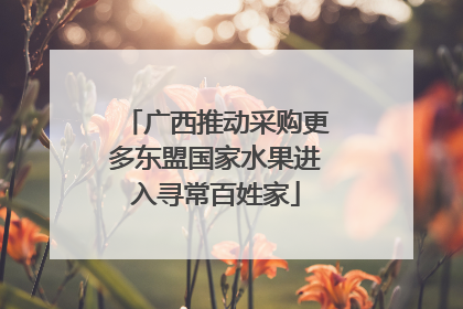 广西推动采购更多东盟国家水果进入寻常百姓家