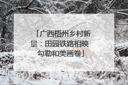 广西梧州乡村新景：田园铁路相映 勾勒和美画卷