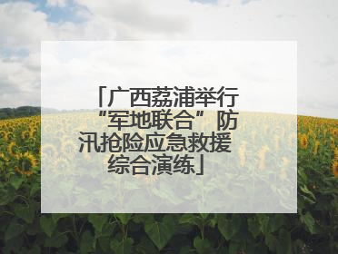 广西荔浦举行“军地联合”防汛抢险应急救援综合演练