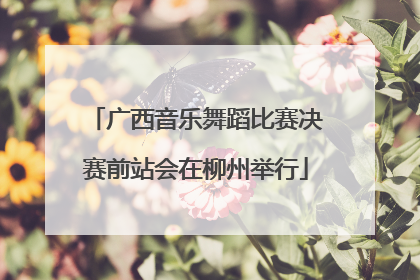 广西音乐舞蹈比赛决赛前站会在柳州举行