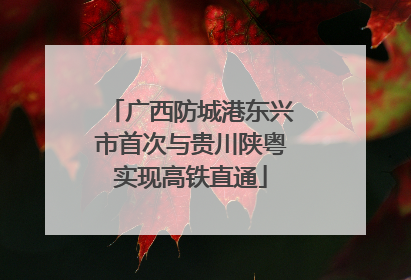 广西防城港东兴市首次与贵川陕粤实现高铁直通