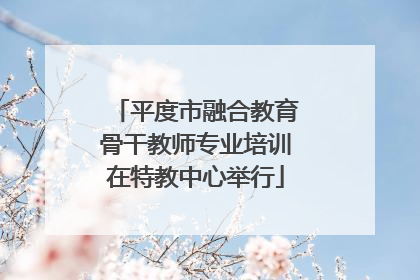 平度市融合教育骨干教师专业培训在特教中心举行