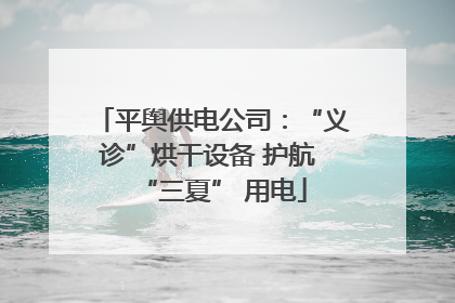 平舆供电公司：“义诊”烘干设备 护航 “三夏” 用电