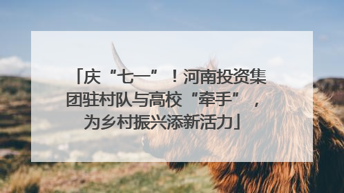 庆“七一”！河南投资集团驻村队与高校“牵手”，为乡村振兴添新活力