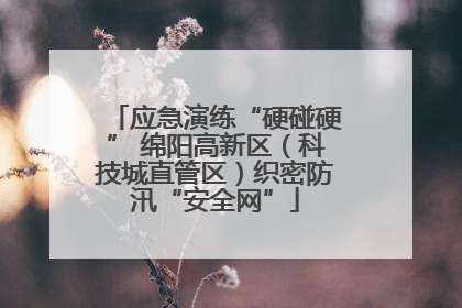 应急演练“硬碰硬” 绵阳高新区（科技城直管区）织密防汛“安全网”
