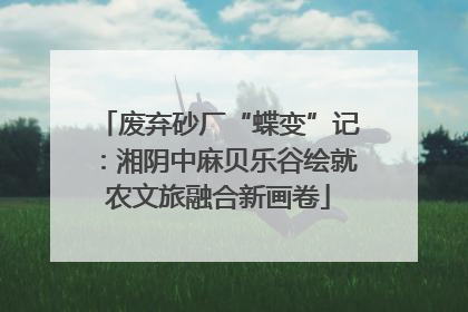 废弃砂厂“蝶变”记：湘阴中麻贝乐谷绘就农文旅融合新画卷
