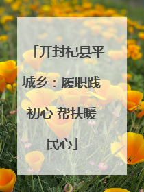 开封杞县平城乡：履职践初心 帮扶暖民心