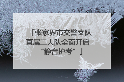 张家界市交警支队直属二大队全面开启“静音护考”