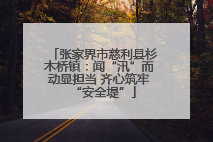 张家界市慈利县杉木桥镇：闻“汛”而动显担当 齐心筑牢“安全堤”