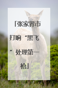 张家界市打响“黑飞”处理第一枪