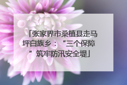 张家界市桑植县走马坪白族乡：“三个保障”筑牢防汛安全堤