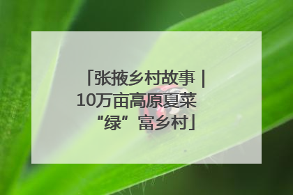 张掖乡村故事｜10万亩高原夏菜“绿”富乡村