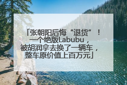 张朝阳后悔“退货”！一个绝版Labubu，被胡润拿去换了一辆车，整车原价值上百万元