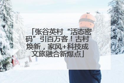 张谷英村“活态密码”引百万客！古村焕新，家风+科技成文旅融合新爆点