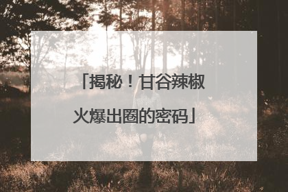 揭秘！甘谷辣椒火爆出圈的密码