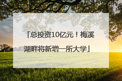 总投资10亿元！梅溪湖畔将新增一所大学