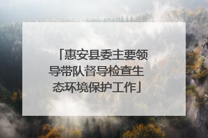 惠安县委主要领导带队督导检查生态环境保护工作