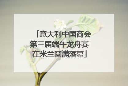 意大利中国商会第三届端午龙舟赛在米兰圆满落幕