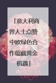 意大利商界人士点赞中欧绿色合作蕴藏黄金机遇