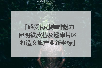 感受街巷咖啡魅力 昆明铁皮巷及巡津片区打造文旅产业新坐标