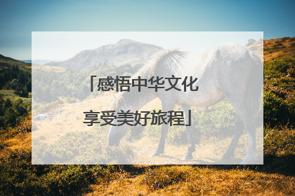 感悟中华文化 享受美好旅程