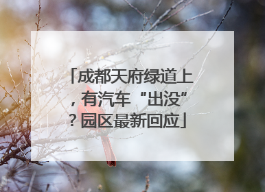 成都天府绿道上，有汽车“出没”？园区最新回应