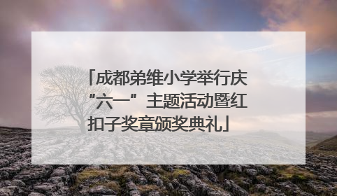 成都弟维小学举行庆“六一”主题活动暨红扣子奖章颁奖典礼