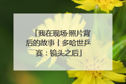 我在现场·照片背后的故事丨多哈世乒赛：镜头之后