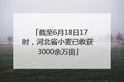 截至6月18日17时，河北省小麦已收获3000余万亩