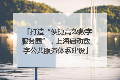 打造“便捷高效数字服务圈”，上海启动数字公共服务体系建设