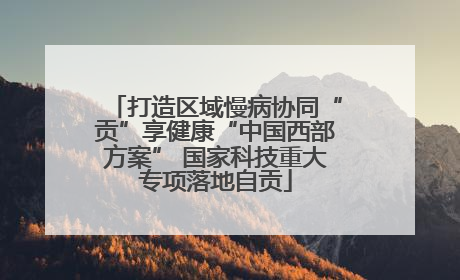 打造区域慢病协同“贡”享健康“中国西部方案” 国家科技重大专项落地自贡