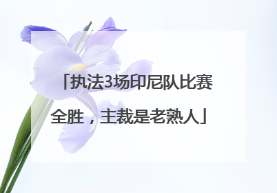 执法3场印尼队比赛全胜，主裁是老熟人