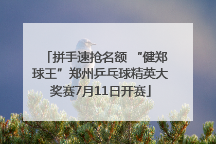 拼手速抢名额 “健郑球王”郑州乒乓球精英大奖赛7月11日开赛