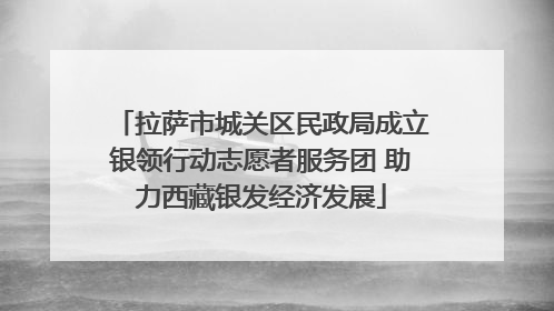 拉萨市城关区民政局成立银领行动志愿者服务团 助力西藏银发经济发展