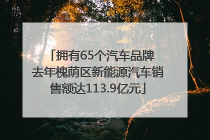 拥有65个汽车品牌 去年槐荫区新能源汽车销售额达113.9亿元