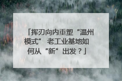 挥刃向内重塑“温州模式” 老工业基地如何从“新”出发？