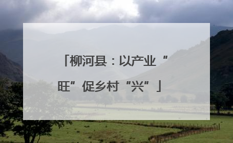 柳河县：以产业“旺”促乡村“兴”