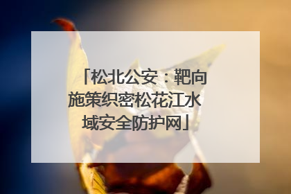 松北公安：靶向施策织密松花江水域安全防护网