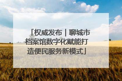 权威发布｜聊城市档案馆数字化赋能打造便民服务新模式