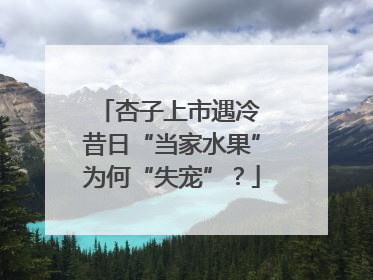 杏子上市遇冷 昔日“当家水果”为何“失宠”？