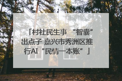 村社民生事 “智囊”出点子 嘉兴市秀洲区推行AI“民情一本账”