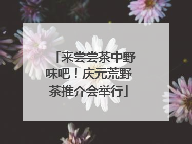 来尝尝茶中野味吧！庆元荒野茶推介会举行