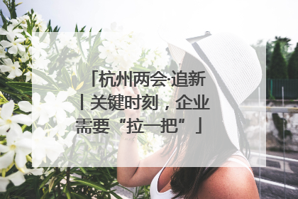 杭州两会·追新丨关键时刻，企业需要“拉一把”