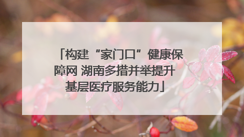 构建“家门口”健康保障网 湖南多措并举提升基层医疗服务能力