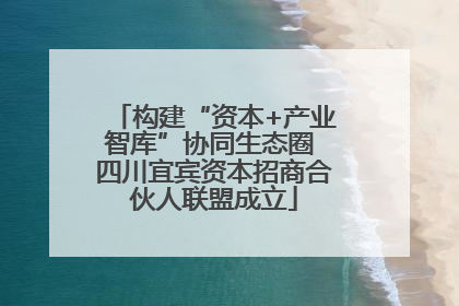 构建“资本+产业智库”协同生态圈 四川宜宾资本招商合伙人联盟成立